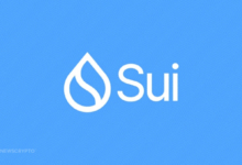 Sui Network Celebrates 1-Year Mainnet Debut Amidst Tokenomics Criticism