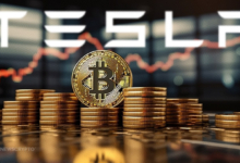 Elon Musk's Tesla Transfers Bitcoin Holdings Worth 765M Dollars