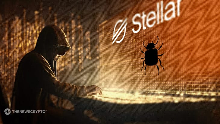 Stellar Foundation Calls for Upgrade Delay After Bug Discovery