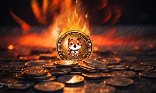 Baby Doge Coin Executes Massive Burn of 139 Trillion Tokens