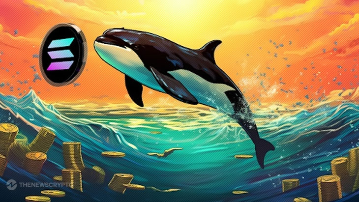 Whales Are Buying New Solana Alternative Predicted to Explode by 100X in 2024