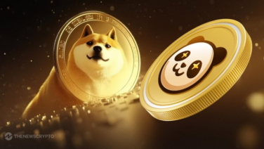 Catch the Next Shiba Inu: Crypto Analyst Identifies New Cryptocurrency Poised to Outshine SHIB