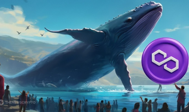 Polygon Whale Makes a big Move with a $50k Bet on an Emerging Competitor Priced at $0.12