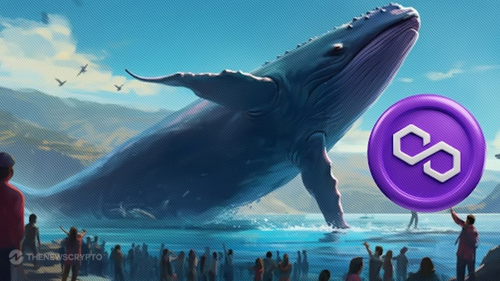 Polygon Whale Makes a big Move with a $50k Bet on an Emerging Competitor Priced at $0.12