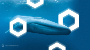 Why Are Whales Accumulating Chainlink (LINK)?