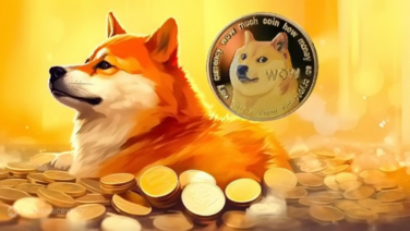 OG Meme Dogecoin (DOGE) Faces Challenges With New Gaming Cryptocurrency