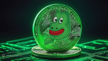 Riding the Wave: Why BEFE Coin Is the Ultimate Meme Coin of March