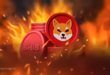 Will the Shiba Inu Team Execute 10T SHIB Burn in March?