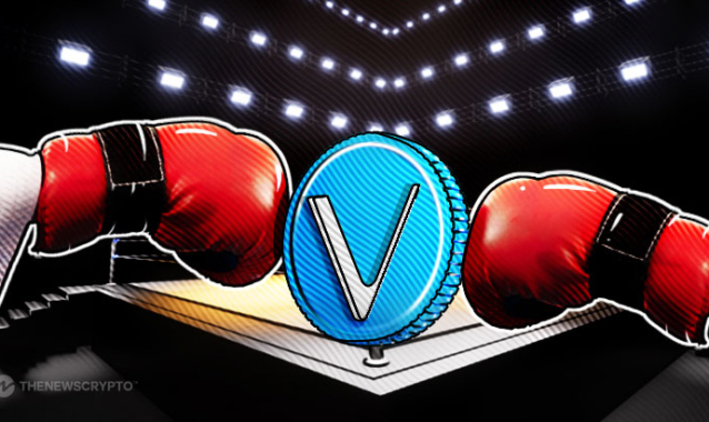 UFC and VeChain Partner to Introduce Tokenized Gloves at UFC 300