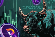 New to Crypto? 3 Low-Risk, High-Return Coins to Invest in for the Next Bull Cycle