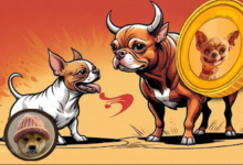 YouTube Analyst Who Advised Everyone to Buy Dogwifhat (WIF) Before It Hit $500,000,000 Market Cap Says He's 'Mega Bullish' on New Meme Coin Under $200,000,000 WIF Competitor