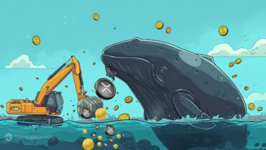 Analysts Believe Whales Dumping Ripple (XRP) and Cardano (ADA) Are Later Buying This Small-Cap Token