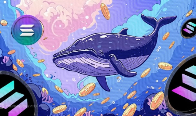 Solana Whale Known for Buying Meme Coins Before Major Price Rallies Has Built a Massive Position in This Token in the Last Three Days