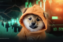 Bitcoin Runes DOG