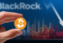 BlackRock's Bitcoin ETF Inflows Paused for 4 Consecutive Days