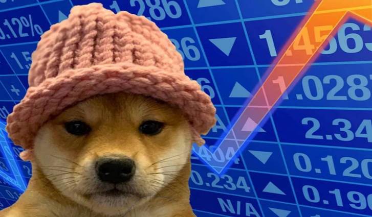 How DogeWifHat Changed Lives: New Dogwifhat (WIF) Rival