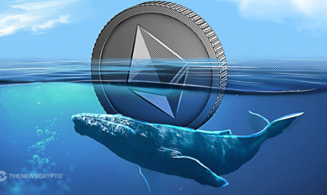 Ethereum Whale