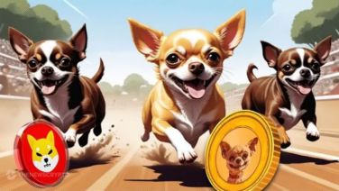 This Solana-Based Token with a Market Cap Under $200,000,000 Will Lead the 2024 Meme Coin Season, Reckons Expert Who Predicted Shiba Inu (SHIB) Rally Last Bull Run