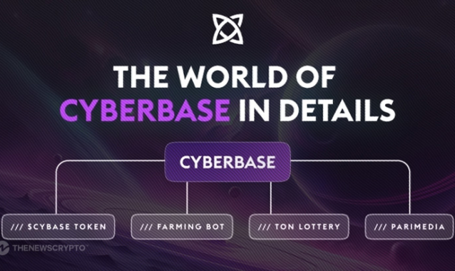 Diving Into Cyberbase. Ecosystem & New Opportunities