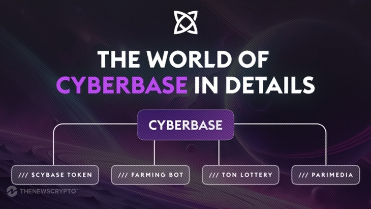 Diving Into Cyberbase. Ecosystem & New Opportunities