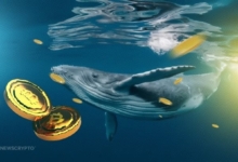 Can Bitcoin's Recent Whale Accumulation Drive it Beyond Latest Peaks?