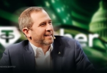 Ripple CEO Warns of US Government Targeting Tether, Potential Impact