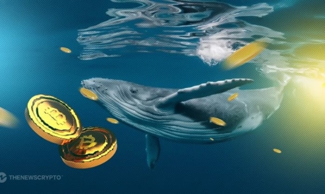 Crypto Whales Navigate Choppy Waters Amid Regulatory Tides