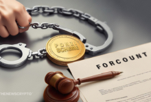 Crypto Ponzi Scheme Leads to $14M Restitution Penalty for David Kagel