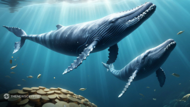 How Big Whales Exploit the Current Market Consolidation Phase?