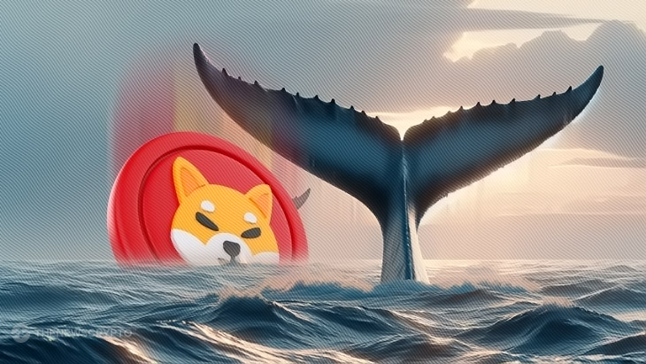 SHIB Whale Activity Surges Amid Highly Volatile Crypto Market