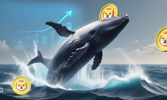 Shiba Inu Whales Accumulate Trillions of SHIB Tokens, Price to Rally?