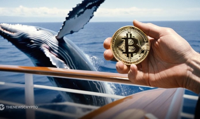 How Are Bitcoin Whales Strategizing Amidst BTC Consolidation?