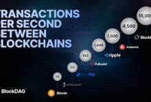 Investors Eye BlockDAG's Unmatched 15,000 TPS; Toncoin Transfer Volume Hits High & Bitcoin Cash Price Declines