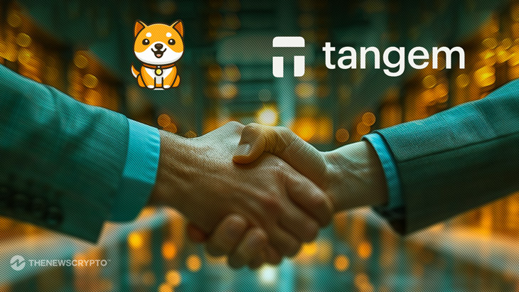 BabyDoge Partners with Tandem for Exclusive Hardware Wallet