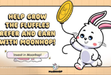 Book Of Meme, Floki, And MOONHOP: Which Meme Coin Will Hop To The Moon?