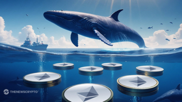 Ethereum Whales Accumulate ETH in Anticipation of ETF Launch