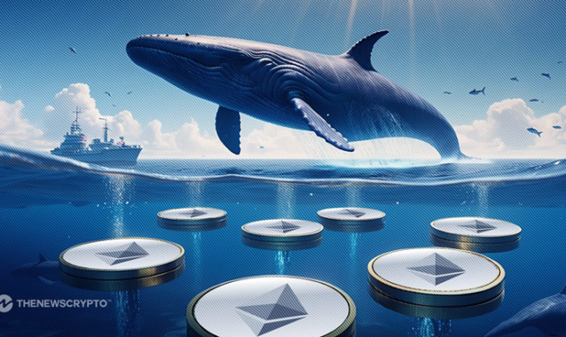 Ethereum Whales Accumulate ETH in Anticipation of ETF Launch