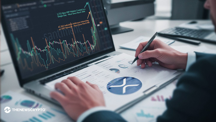 Ripple (XRP) Surges in On-chain Activity Amid Bullish Price Trends