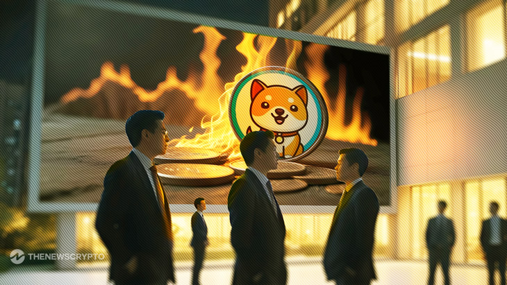 Can This Reason Revive BabyDoge Bull Run?