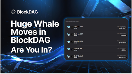 Whales Rally to BlockDAG After $30 Prediction by 2030; BNB Chain Cultivates Meme Coins, Toncoin Bounces Back