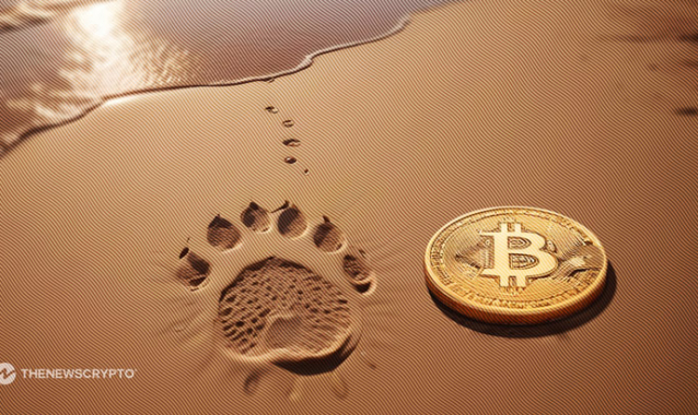 What Does This Recent Consolidated Dip Mean to Bitcoin (BTC)?