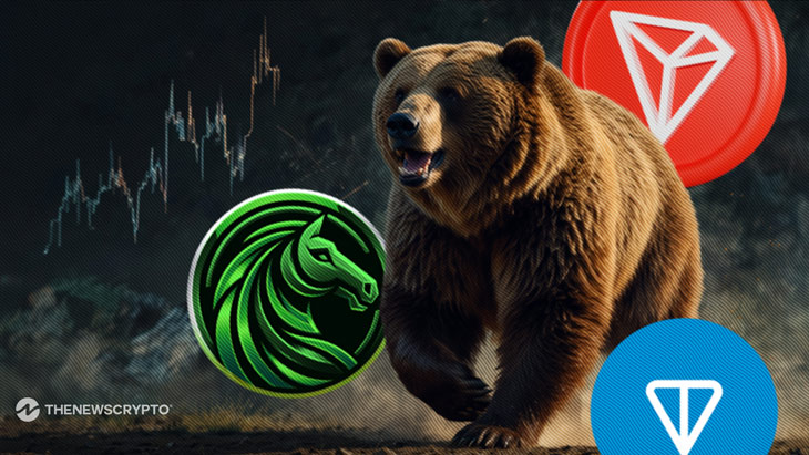 Bear Steams Off: DIGI, TRX, and TON Attract Investors