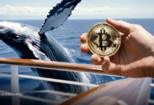 Bitcoin Reaches 25-Day High as Whales Trade and Shorts Liquidate