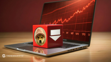 Dogwifhat Faces Double-Digit Loss as Market Crash Intensifies