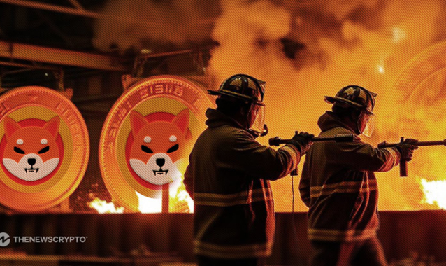 Is Shiba Inu’s Burn Rate Decline a Sign of Trouble Ahead?