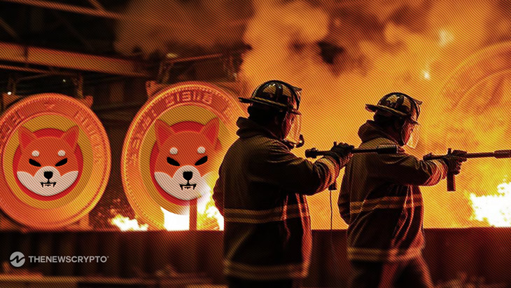 Is Shiba Inu’s Burn Rate Decline a Sign of Trouble Ahead?