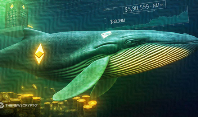 Ethereum Whale Activity Ramps Up Amid Market Recovery