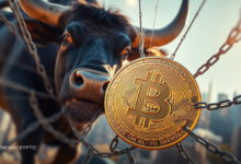 Is Bitcoin (BTC) Hinting at a Bull Run in the Wake of Fed Cuts?