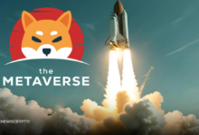 When Can the SHIB Community Expect Shiba Inu's Metaverse to Go Live?