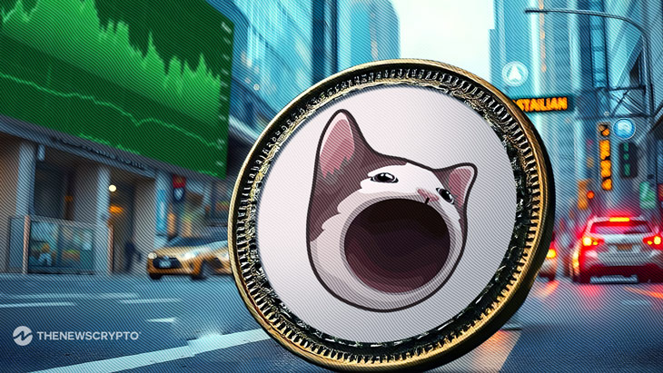 Why Is POPCAT the Most Talked About Memecoin Today?